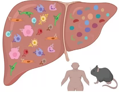 Liver and Metabolic Diseases Liver and Metabolic Diseases